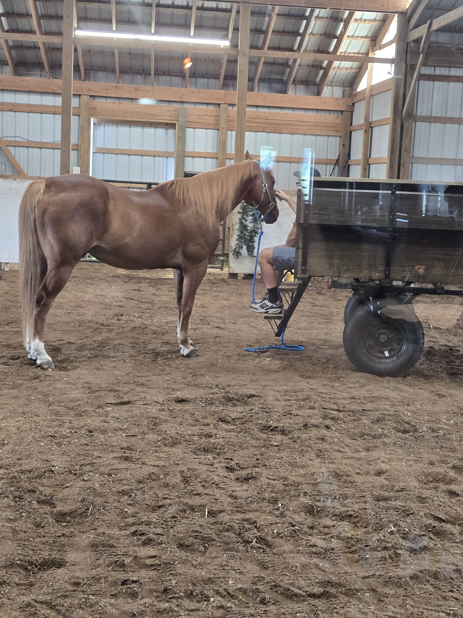 A friendly visit inside the barn.